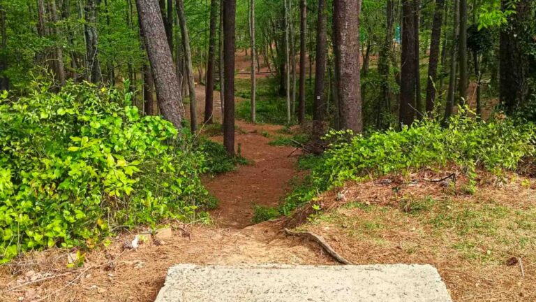 Glenville Pines Disc Golf Course Review: A Beginner’s Paradise